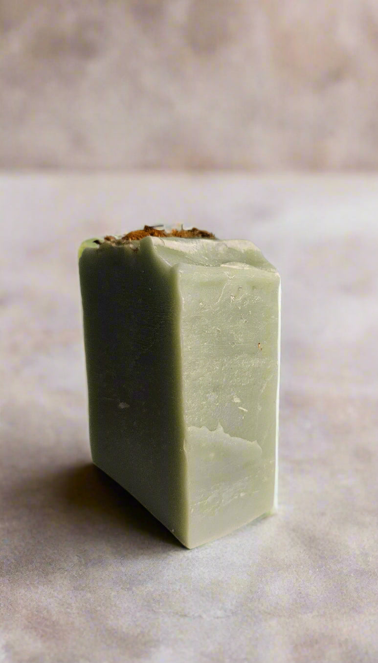 Aloe Bar