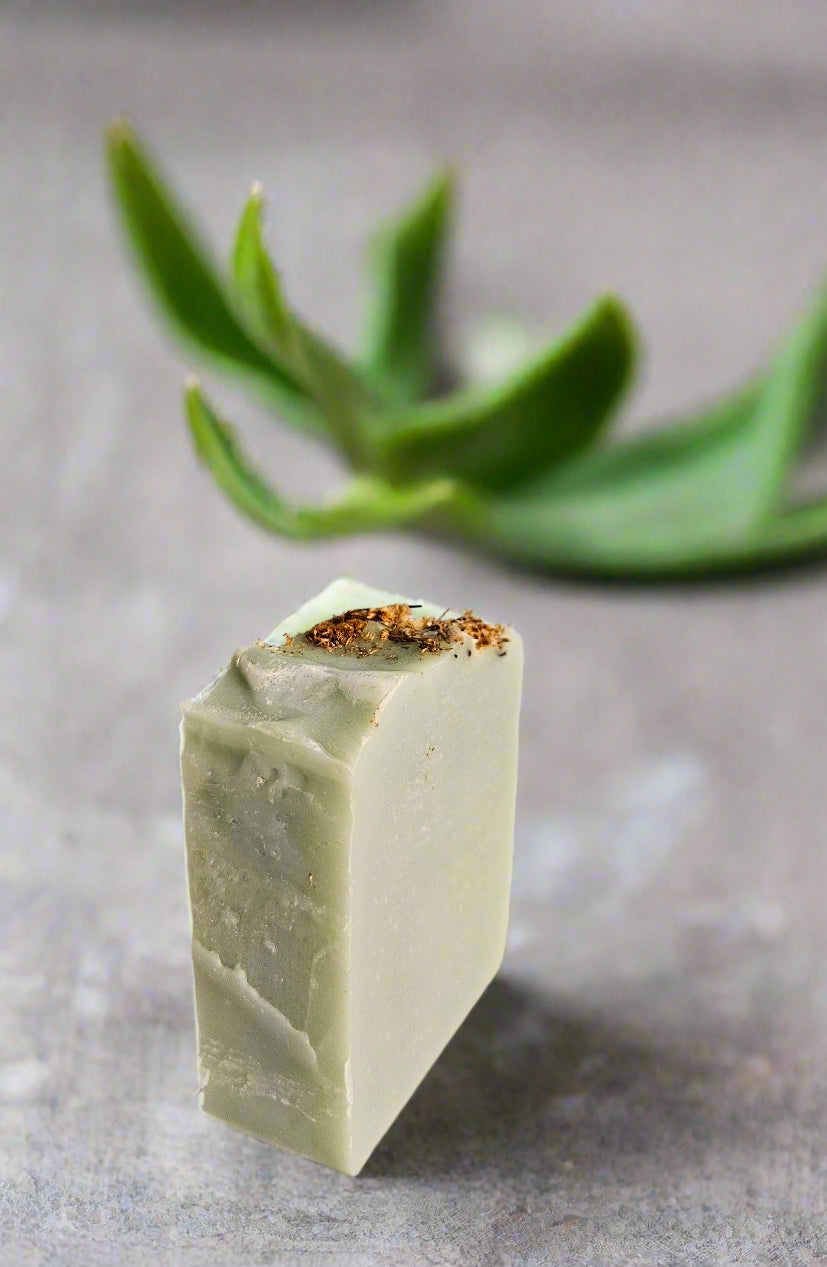 Aloe Bar