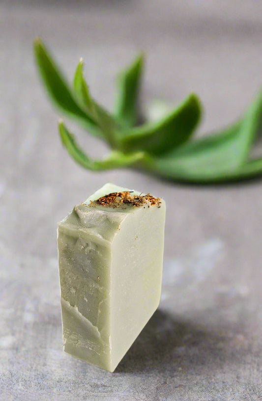 Aloe Bar